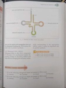 Genetics, osteology, histology Medical Textbooks B