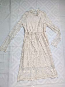 Elegant Lace Dress