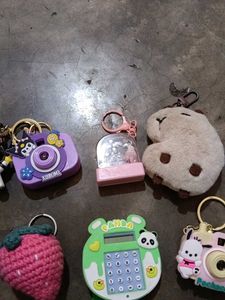 Cute Keychain Collection