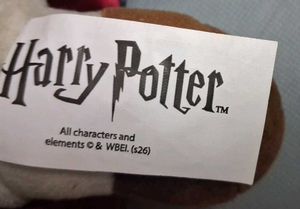 Hermoine (Harry Potter Character)