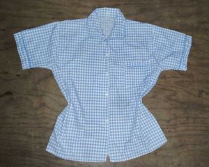Blue Gingham Short-Sleeve Button-Up Shirt