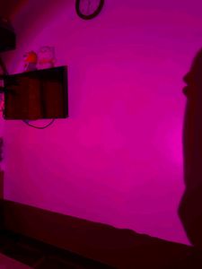 Lamp with Remote