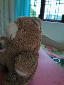 Cute Teddy Bear Plush Toy