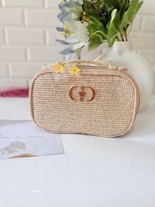 dior Gold Pouch