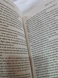Ugly Love: A Novel