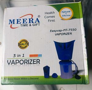 Steam Inhaler Electric
