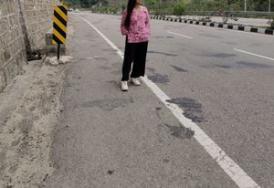 Pink Floral Print Kurta