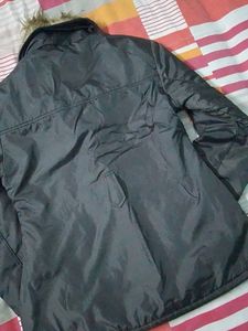 Winter Wear Jacket