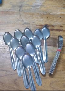 12 Piece Spoons