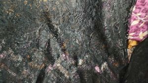 beautiful whole net lace top