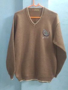 Classic Brown V-Neck Sweater