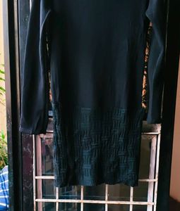 Very Beautiful Furr Warm Dress