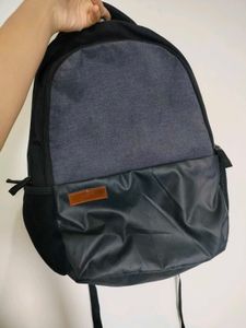 Skybags Backpack - Gray
