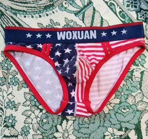 American Flag Print Briefs