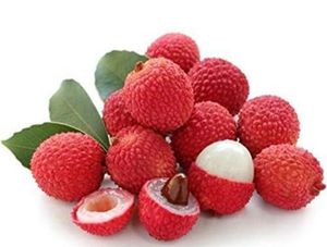 Litchi Fruit Seeds