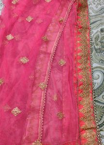 Beautiful Pink Embroidered Lehenga Skirt