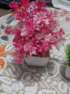 Artificial Plant Combo Pack Of 3