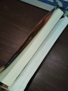 Bhagvad Gita By Acharya Prashand And 12th Fail