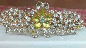 Two Elegant Gold and Silver Crystal Hair Clips