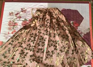 Beautiful lehenga set for girls