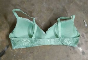 Light Green Lace Bra