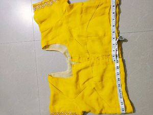Embroidered Saree + Blouse