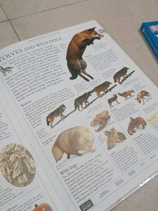 DK Illustrated Family Encyclopedia Vol 15 U-Z