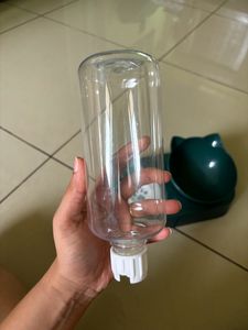 Cat Food &amp; Water Dish