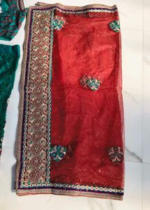 Elegant Green Lehenga Choli