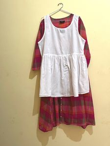 Pink Checked Fit And Flare Dress