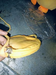 Girls Purse