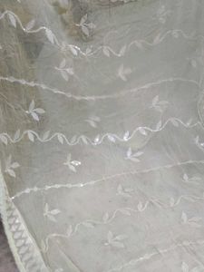 Embellished Net Dupatta