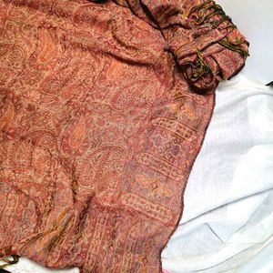 Elegant Paisley Stole