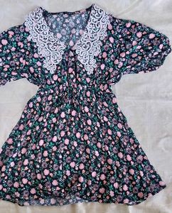 Floral Lace Collar Mini Dress