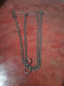 Dog Chain