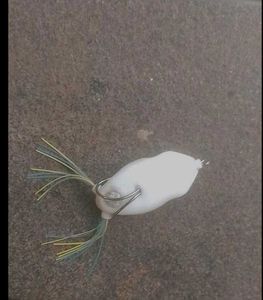 Fishing frog