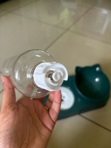 Cat Food &amp; Water Dish