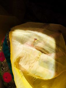 Vibrant Yellow Saree with Embellished Border