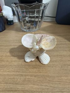 real Seashell Jewelry Organizer tray