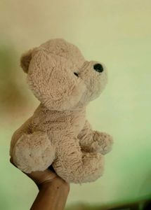 Cute Beige Teddy Dog Plush Toy