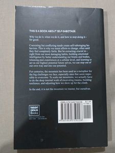 The Mountain Is You Book