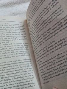 Small Island by Andrea Levy original book