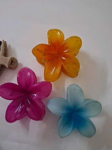 Set of 5 Flower Hair Clips