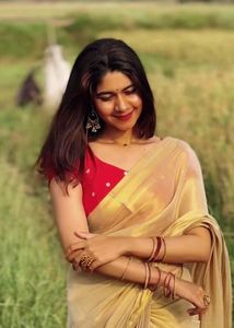 Elegant Golden Multissue Saree