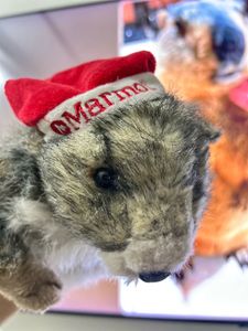 Cute Marmot Stuffed Animal