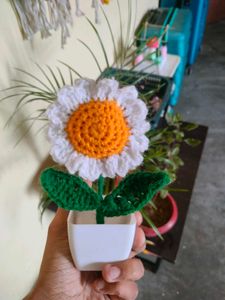Crochet daisy flower pot 🌸