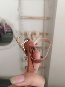 Stylish Brown Belt with Gold Buckle