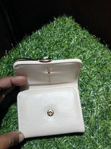 Minimalist Light Beige Cardholder