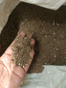Brand New Compost Soil Good For Plants