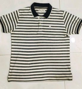 Cantabil Men's Striped Polo T-Shirt